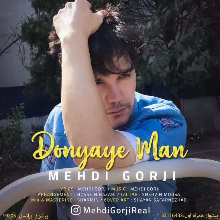 دانلود آهنگ مهدی گرجی دنیای من